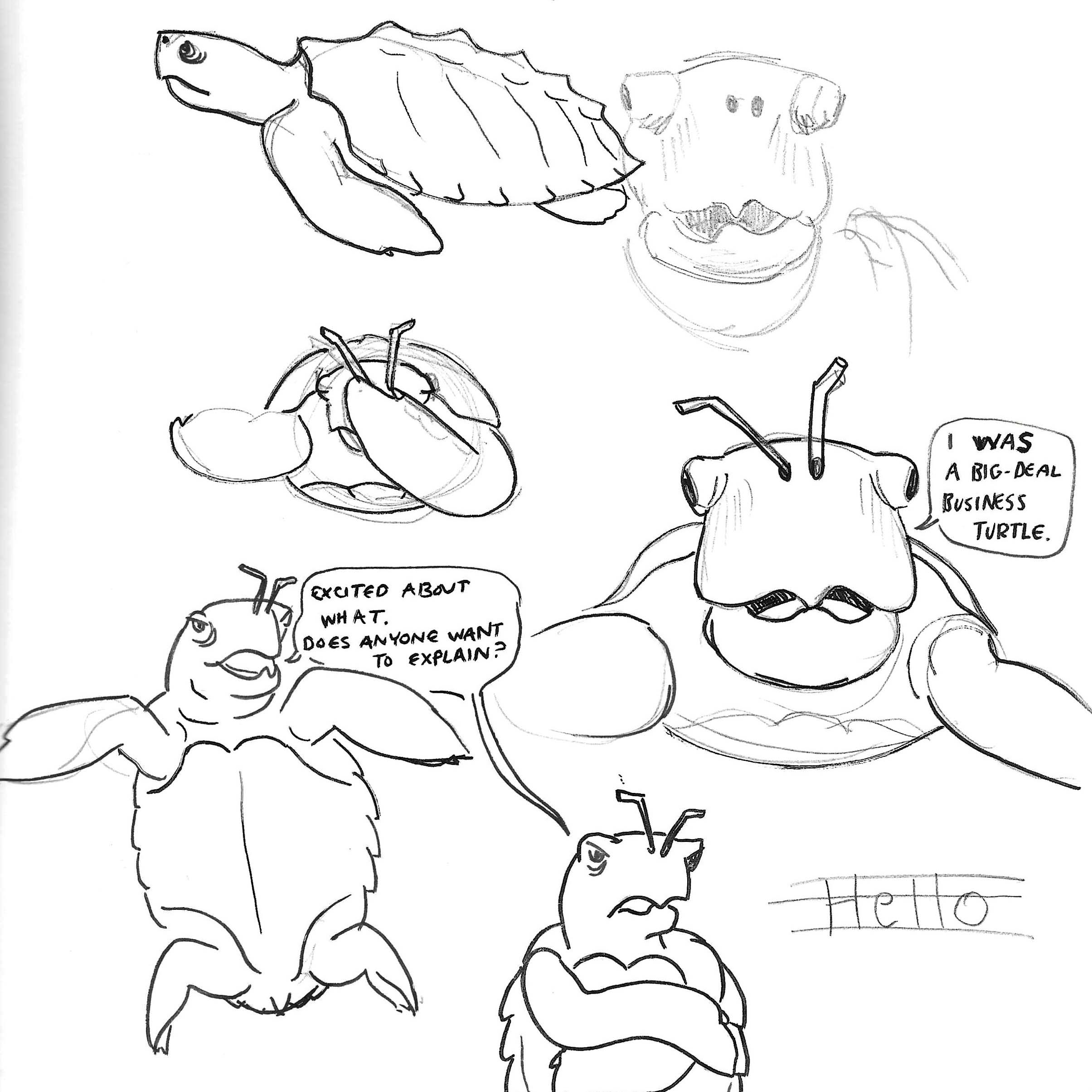 Black and white character sketches of Jack the sea turtle