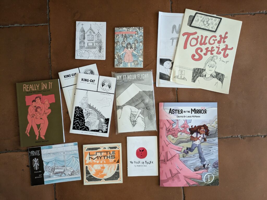 Photo of zines and mini comics laid out on the floor.